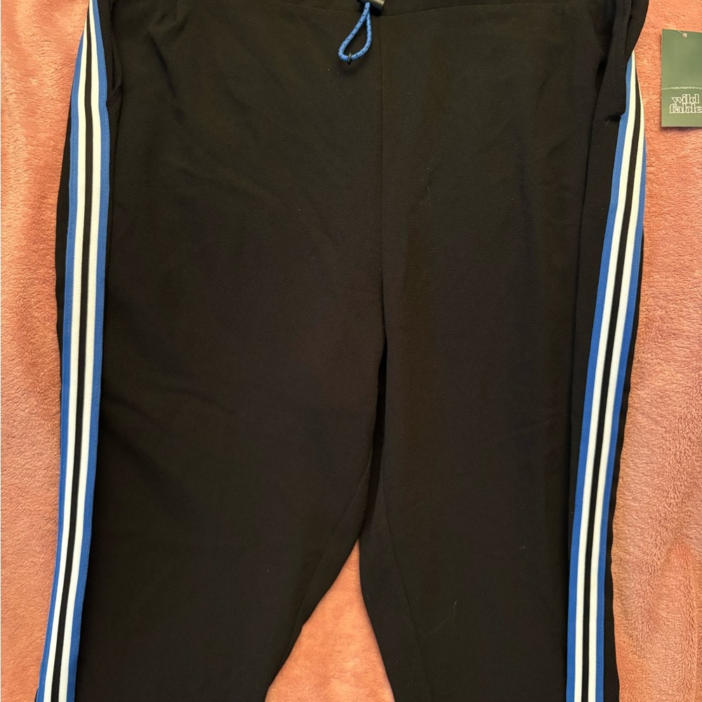 Wild fable women’s drawstring pants